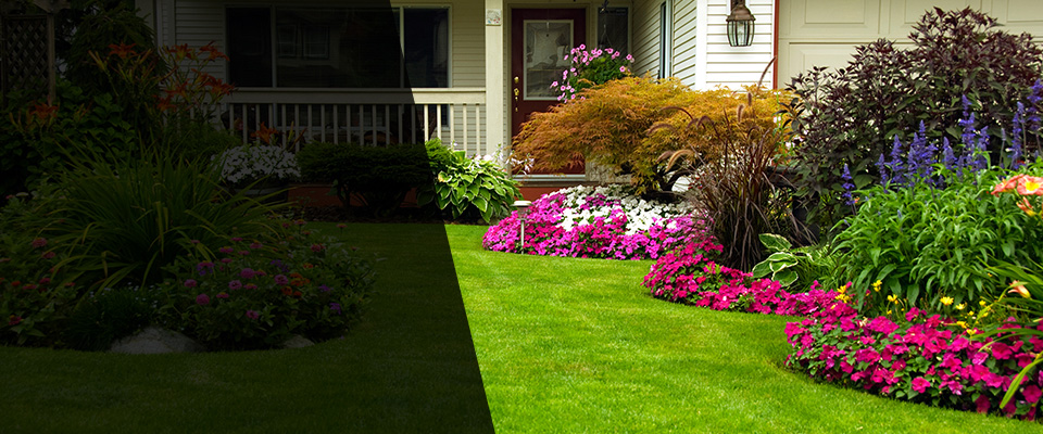 Pendleton Landscapers